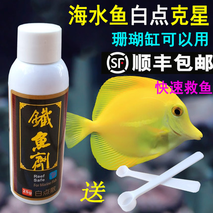 铁鱼剂 新包装白点散 海水鱼粉蓝高效免疫白点病 珊瑚缸可用 25g