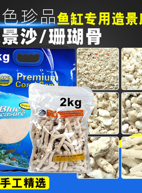 蓝色珍品珊瑚沙天然海沙海缸造景菲律宾沙子寄居蟹底砂海砂珊瑚骨