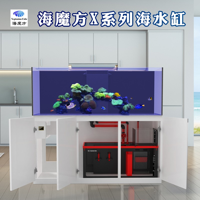 NeptunianCube海水珊瑚缸超白