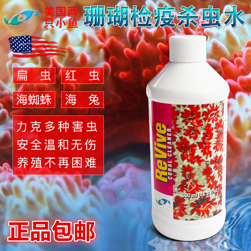 美国两只小鱼杀虫水珊瑚检疫