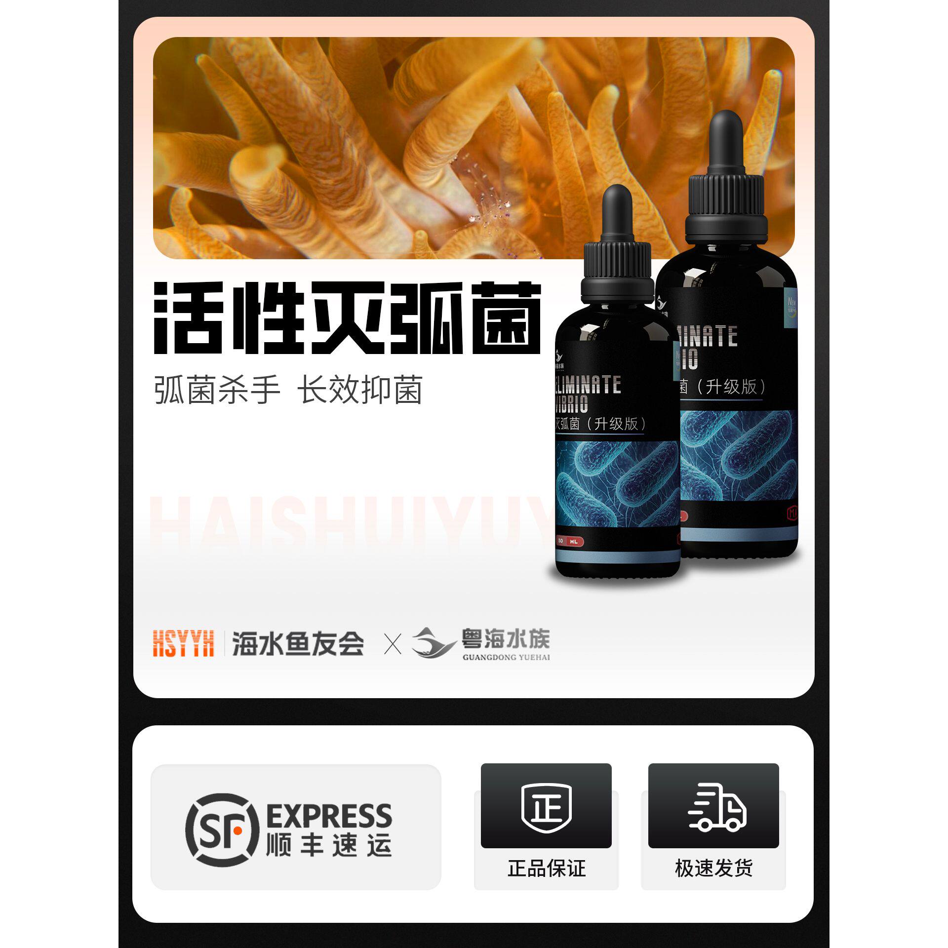 粤海灭弧菌针叶类珊瑚细菌感染布朗冻海水鱼内疾肠炎鱼瘦肚子干瘪