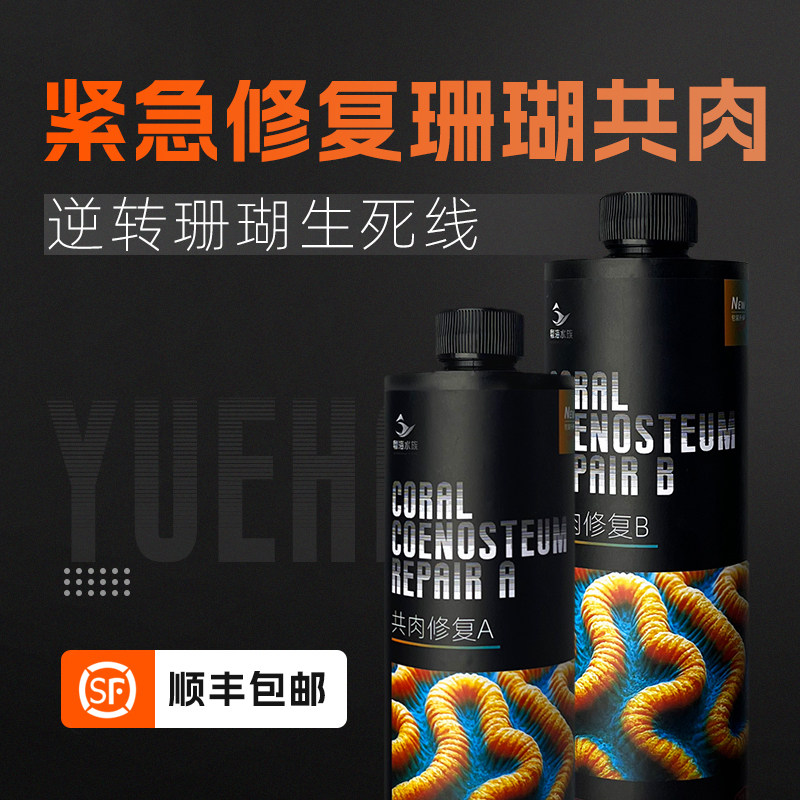 粤海共肉修复珊瑚细菌感染布朗