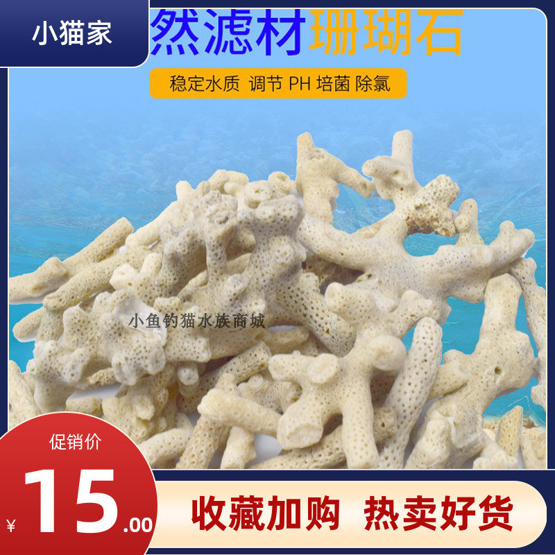 珊瑚石过滤天然水族用品材料图片