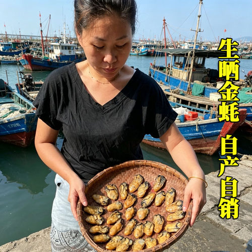 生晒金蚝自产自销香煎煲汤