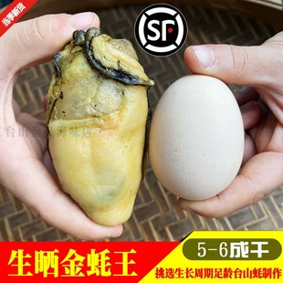 台山特产生晒汶村金蚝王牡蛎大蚝豉川岛海蛎子深井蚝非湛江金蚝