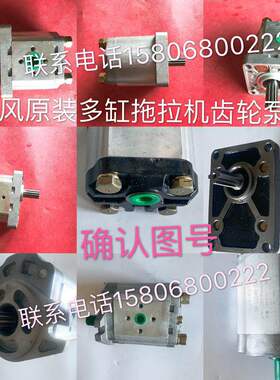 时风多缸拖拉机齿轮泵 液压泵时风350 454 500504 1004 1204 1304