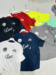 Luzesombra 夏季新款 男士户外运动休闲速干T恤