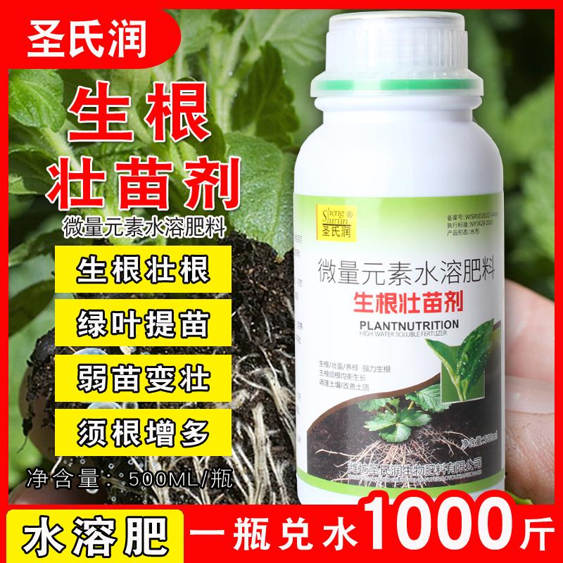 生根壮苗剂生根液生根剂扦插移栽果树瓜果农用水溶肥促根根多根密