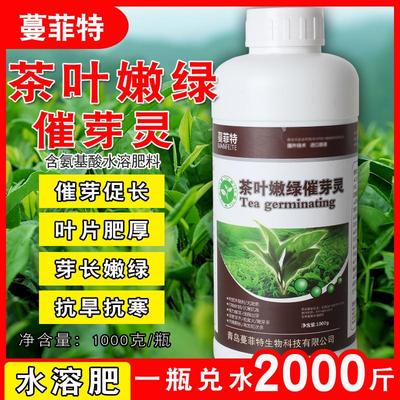 茶叶嫩绿催芽灵茶叶专用水溶肥了茶叶催芽素促长剂芽头多茶叶嫩厚