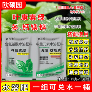 叶康素绿含氨基酸蔬菜叶绿素预防缺素茎秆粗壮叶片厚绿水溶肥