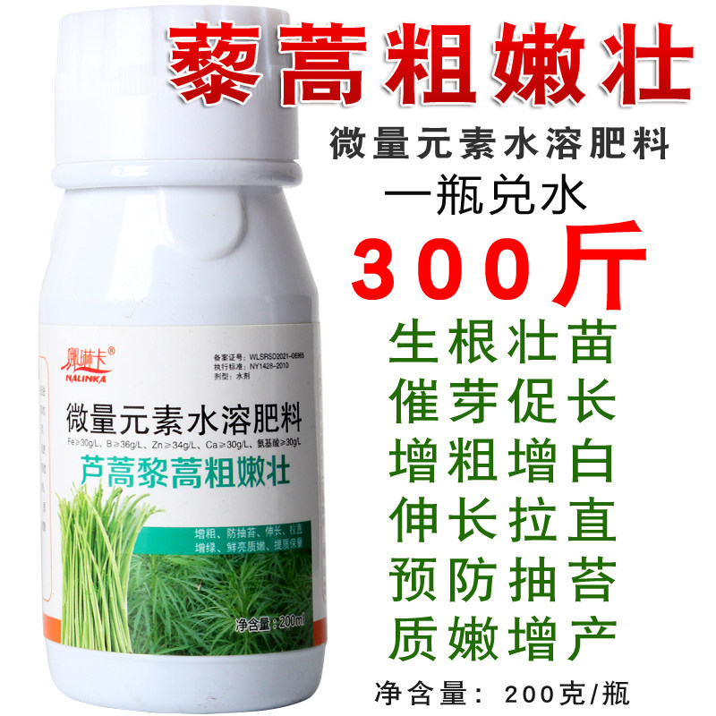 芦蒿黎蒿粗嫩壮芦蒿叶面肥壮棵茎秆粗壮拉直增白增粗防抽苔增绿肥