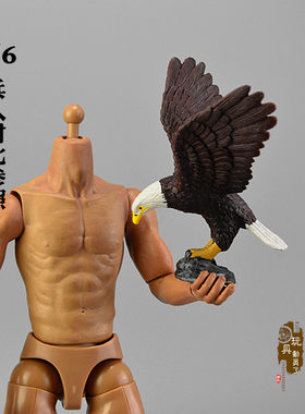 1:6微缩动物模型 座山雕雄鹰老鹰金雕大鹏展翅鬼鸮猫头鹰兵人场景