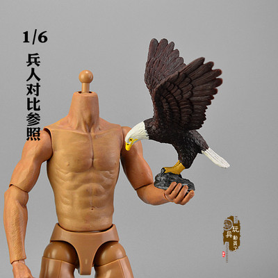 1:6微缩动物模型 座山雕雄鹰老鹰金雕大鹏展翅鬼鸮猫头鹰兵人场景