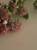 精致款 JolieJuly韩国代购 新品 珍珠小蘑菇通勤日常小耳钉