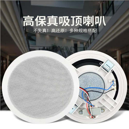 EUROSHINE吸顶音箱嵌入式音响