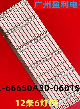 适用乐视D65PPUC22灯条HL-66650A30-0601S-05 A1 12X6背光灯
