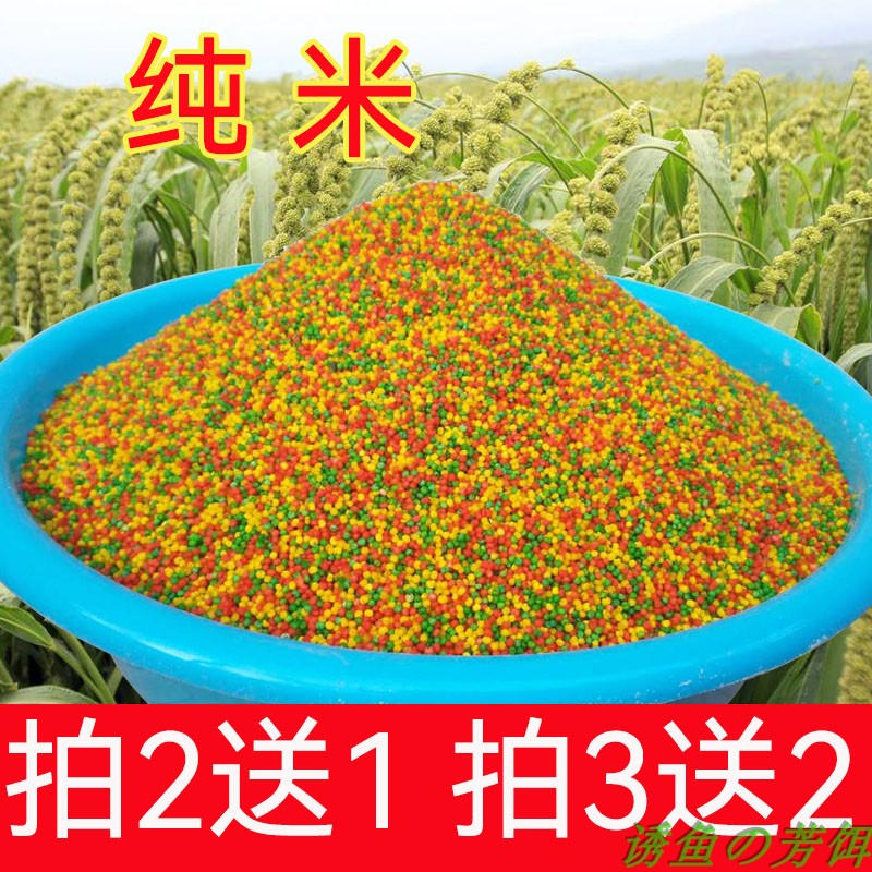 诱米鱼饵五彩色打窝香米果味爆米