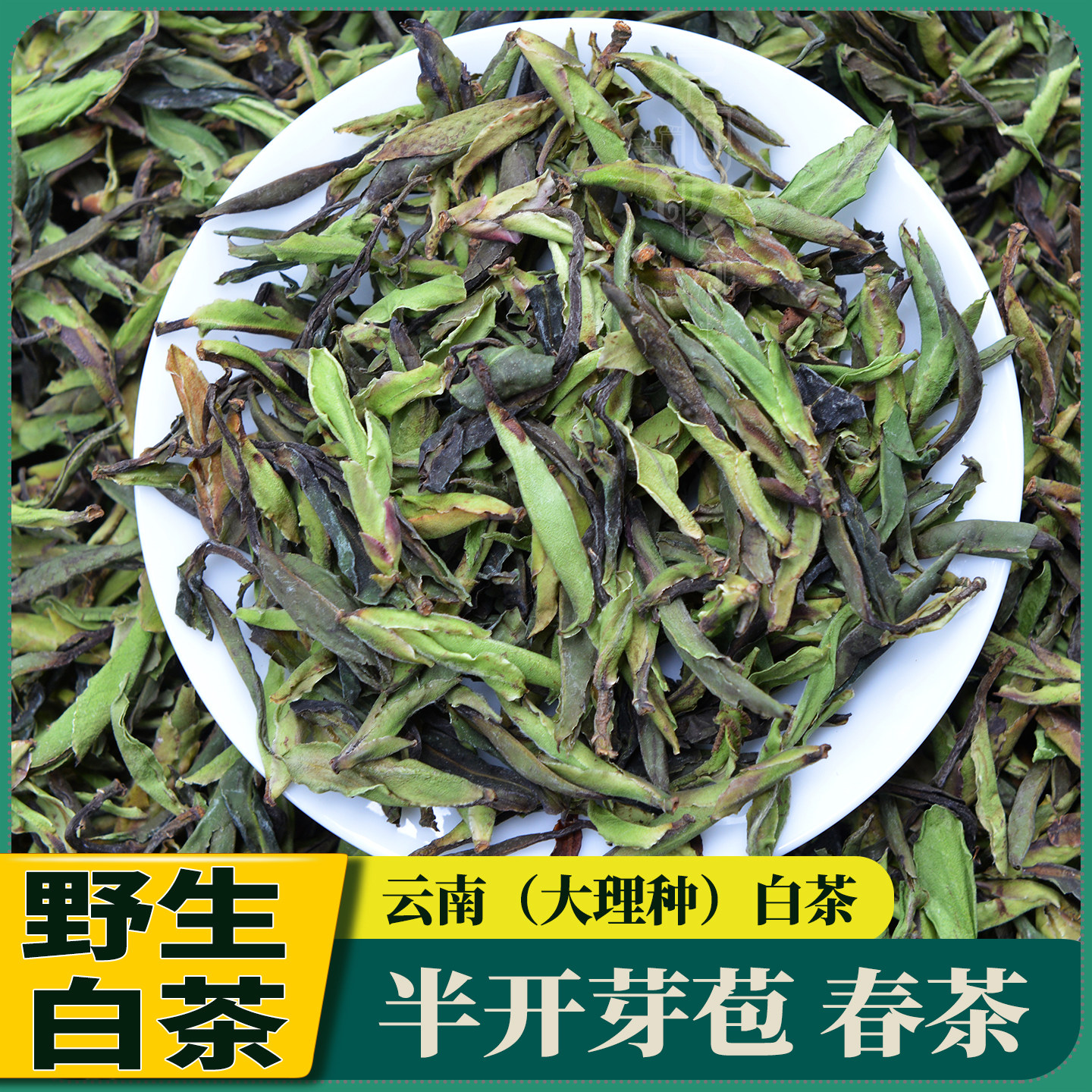 云南大理野生白茶半开芽苞茶