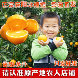 正宗湖南麻阳冰糖橙薄皮橙子新鲜10斤带箱当季水果麻橙超甜手剥橙