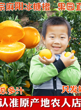 正宗湖南麻阳冰糖橙薄皮橙子新鲜10斤带箱当季水果麻橙超甜手剥橙