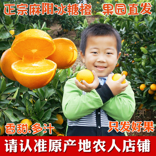 超甜麻阳冰糖橙新鲜橙子带箱10斤