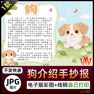 动物小狗介绍手抄报图片狗年宠物狗犬简介电子小报黑白线稿素材A4