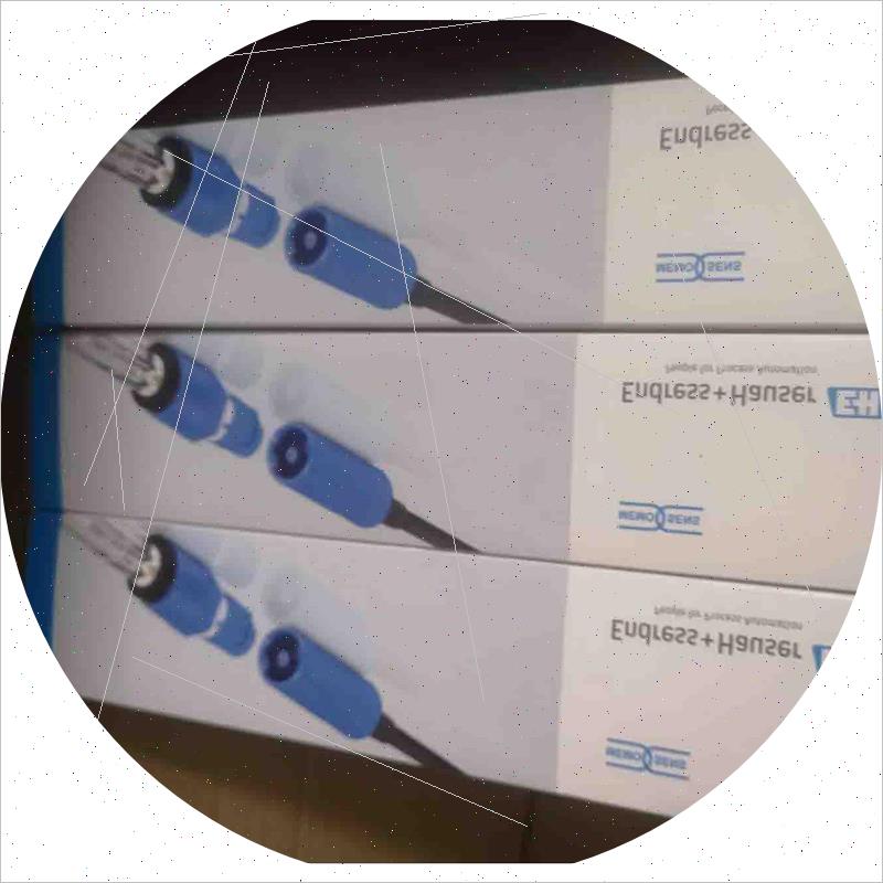 议价现货E+H电极CPS11E-AA7BAA2探头CPS11E-1082/0全新正品议价议