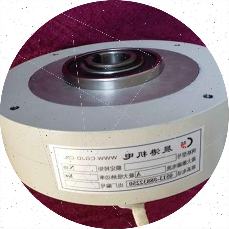 议价ZX-12YN/25YN/50YN/6YN/3YN晨港机电空心轴磁粉制动器刹车器D