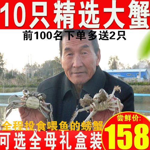 活蟹现货10只大闸蟹鲜活六月黄螃蟹特大海鲜水产河蟹红膏蟹礼盒装