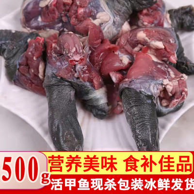甲鱼鲜活食用新鲜现杀半成品王八海鲜水产公甲鱼老鳖团鱼水鱼商用