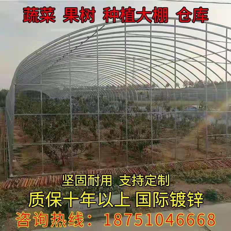 大棚钢管骨架蔬菜保温养殖种植简易塑料温室棚椭圆管连栋大棚定制 鲜花速递/花卉仿真/绿植园艺 其它园艺用品 原图主图