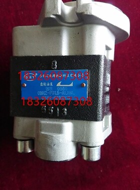 原装正品合肥液压齿轮油泵CBHZ-F32-ALHL合力叉车CBHZG-F36-ALH6L