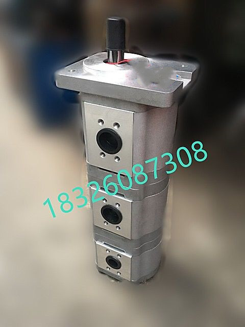 合肥三联液压齿轮油泵