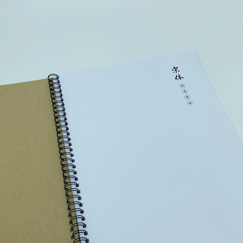 （定制字帖）宋体（电脑字体） 2500常用字唐诗宋词精选 钢笔字帖