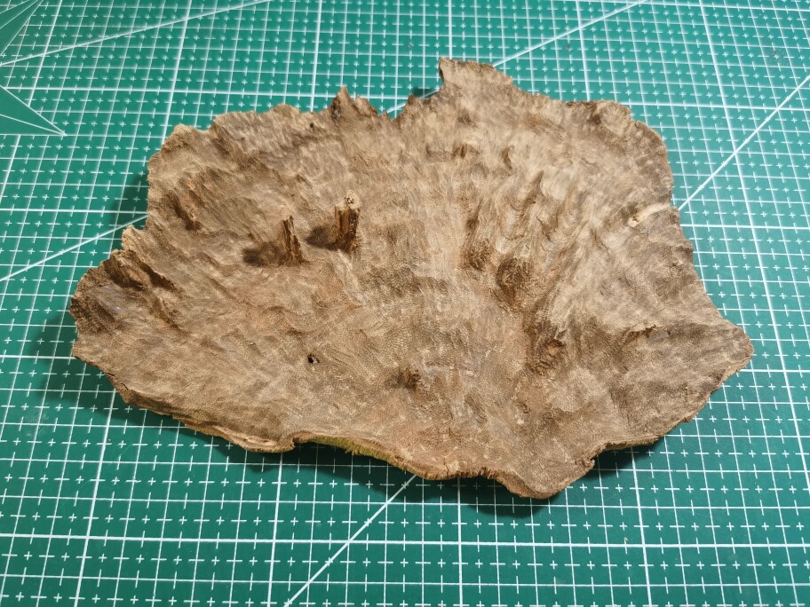 沉香片子 人工林种植割香