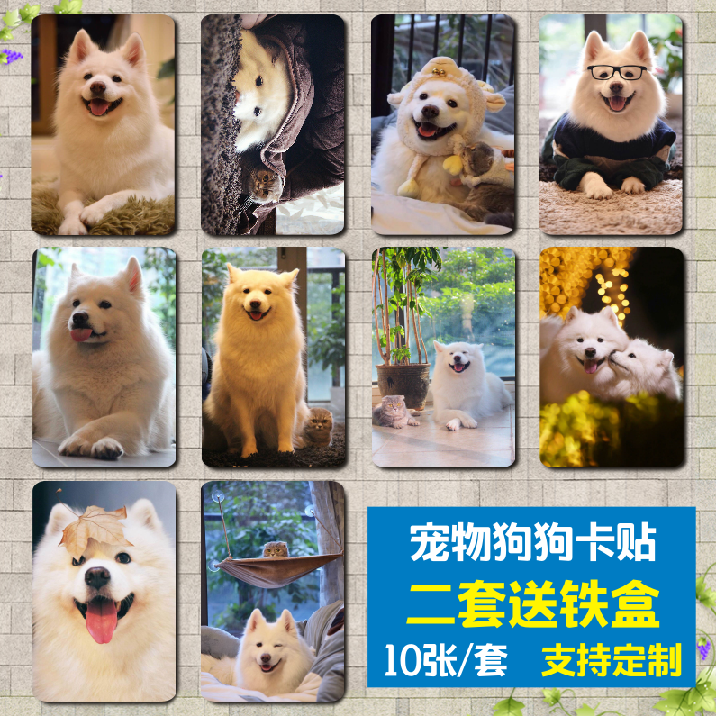 萌宠猫咪柴犬哈士奇饭卡贴定制