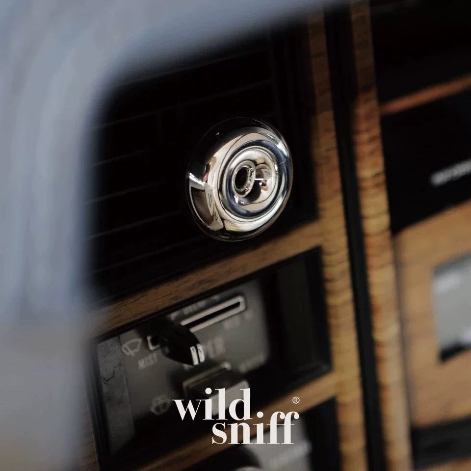 电车油车通用车载香薰野生嗅觉