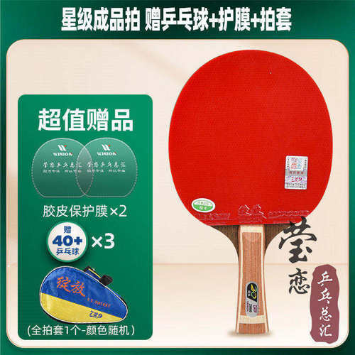 友谊莹恋1只金三星学生乒乓球拍