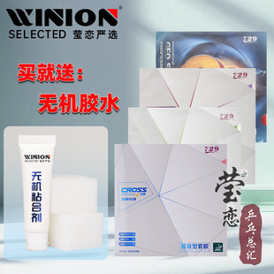 莹恋 绿色彩色GS训练对套乒乓球胶皮球拍反胶套胶 友谊729普及套装