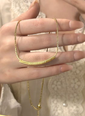 时尚小众设计高级感微笑项链18K金不掉色锁骨气质百搭轻奢蛇骨链