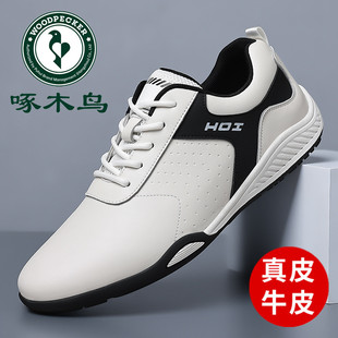啄木鸟男鞋新款软底皮鞋男真皮休闲鞋潮流百搭外穿旅游鞋小白鞋男