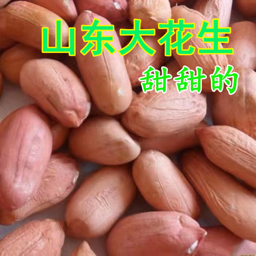 新货2025年山东特大粒花生米农家新鲜生花生威海特产榨油商用批发 - 封面