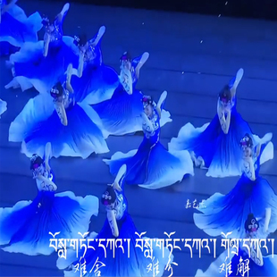 云水伊人舞蹈服装彝族舞披风披毡大摆裙成人少数民族艺考演出服饰