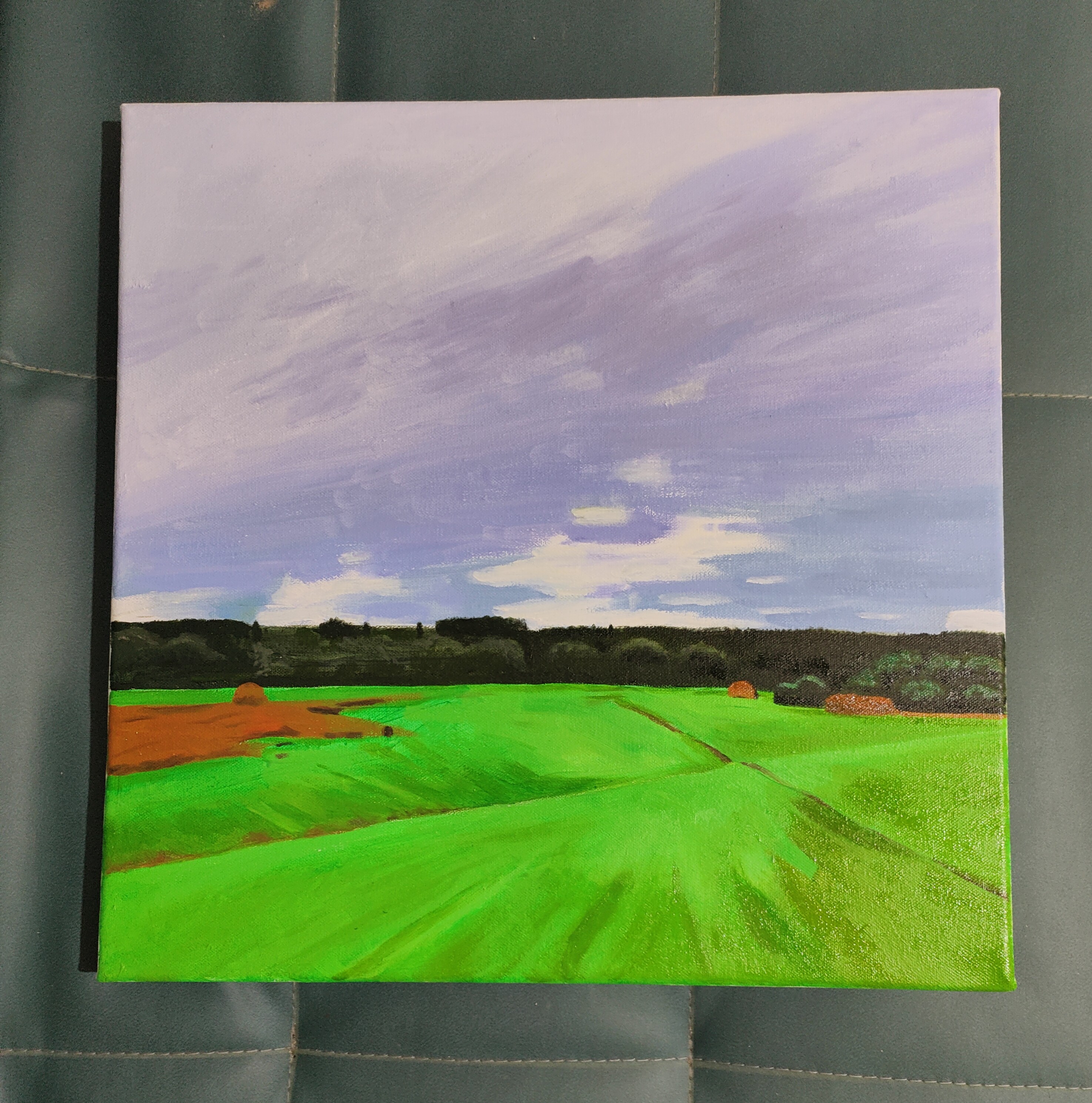 纯手绘油画风景青青大草原 客厅油画