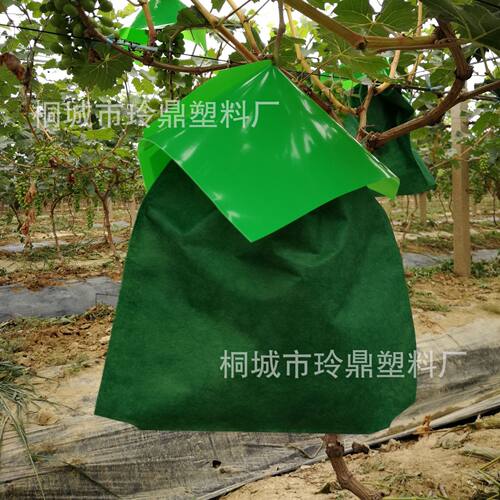 定制 无纺布葡萄套袋多尺寸规格防鸟防虫水果袋加印logo