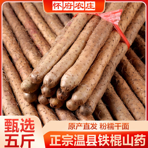 怀府农庄正宗河南省直销铁棍山药