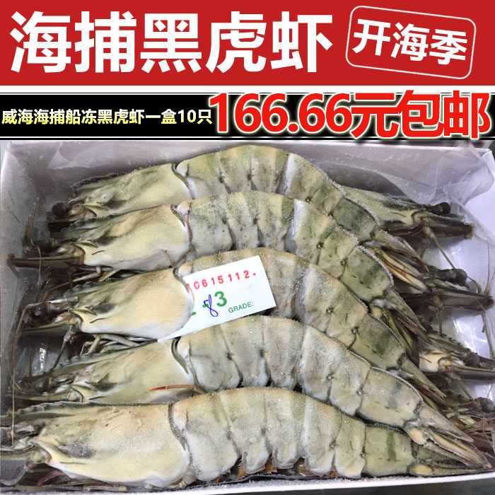 黑虎虾基围虾 越南大虾鲜活海鲜水产 虎虾竹节虾老虎虾斑节虾青虾
