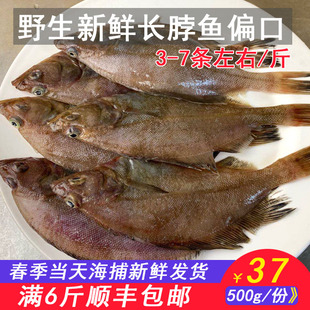 威海海鲜 当日捕捞新鲜小鼓眼鱼  平鱼偏口鱼豆鼓鱼比目鱼长脖鱼