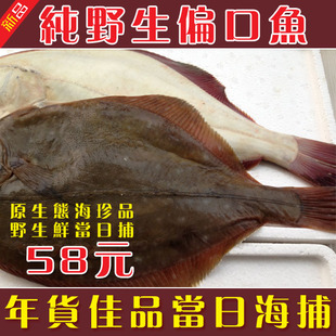 威海海捕偏口鱼左口鱼蝶鱼新鲜海鲜海味鲜嫩石浆鱼水产