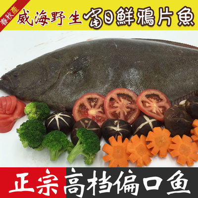 鸦片鱼威海海鲜大口肉